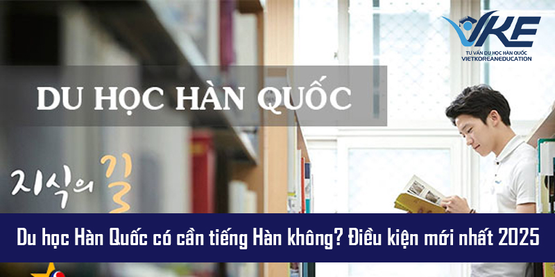 Khoảnh khắc học tập và giao lưu trong trường đại học Hàn Quốc