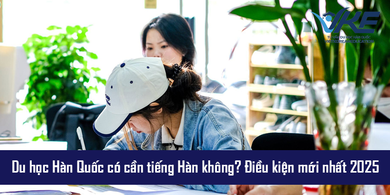 Tư vấn du học Hàn Quốc cùng chuyên gia nhiều kinh nghiệm