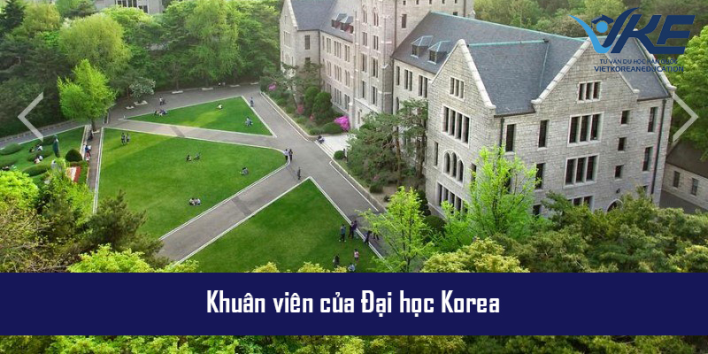 Đại học Korea có hơn 4.000 du học sinh đang theo học