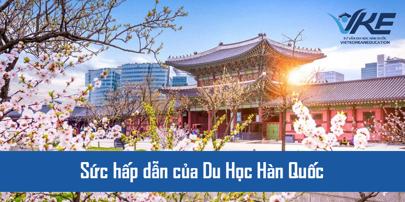Du học Hàn Quốc đang trở thành xu thế của các bạn trẻ