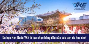 Trung tâm VKE luôn đứng đâu trong các trung tâm tư vấn du học Hàn Quốc uy tín tại Việt Nam