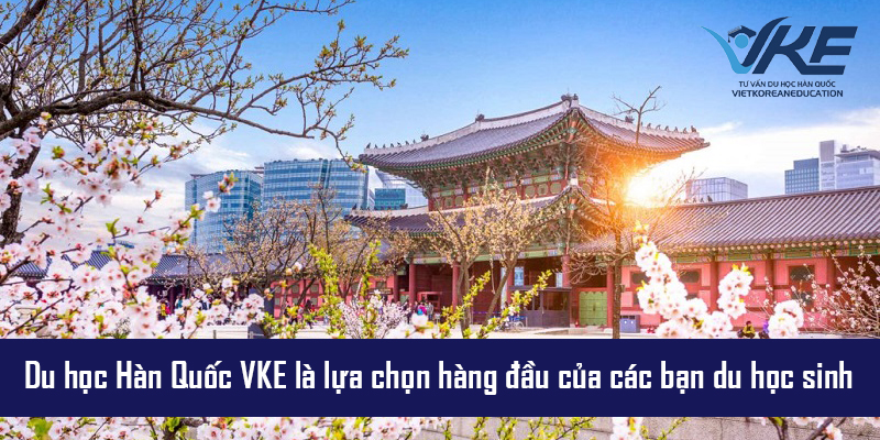 Trung tâm VKE luôn đứng đâu trong các trung tâm tư vấn du học Hàn Quốc uy tín tại Việt Nam