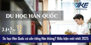 Khoảnh khắc học tập và giao lưu trong trường đại học Hàn Quốc