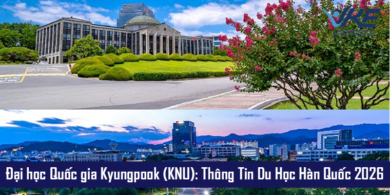 Đại học Quốc gia Kyungpook (KNU): Thông Tin Du Học Hàn Quốc 2026 Cùng VKE 3 Đại học Quốc gia Kyungpook có nhiều chương trình du học cho sinh viên Việt Nam