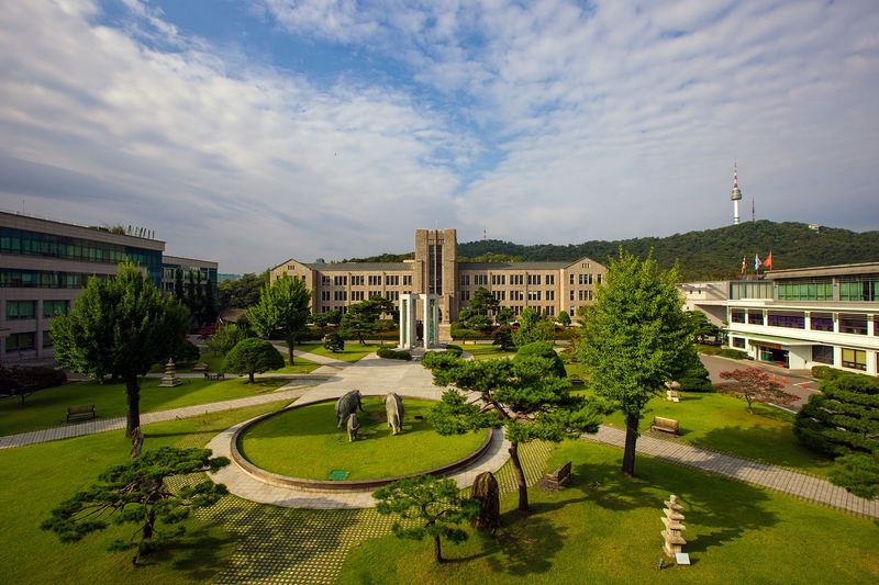 Đại học Dongguk – Trường đại học Phật giáo danh tiếng giữa lòng Seoul 3 Hình ảnh về thư viện trường Đại học Dongguk