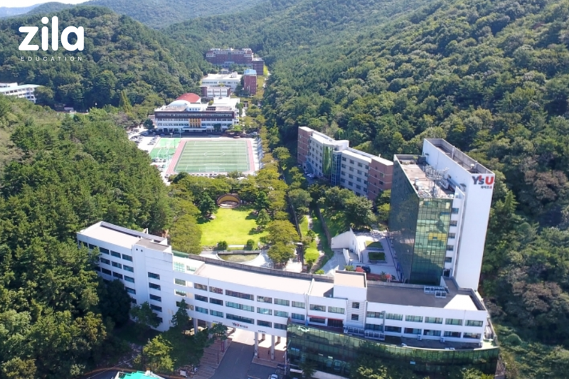 Đại học Youngsan – Đại học tư thục tại Busan 4 Biểu tượng và thông tin tuyển sinh