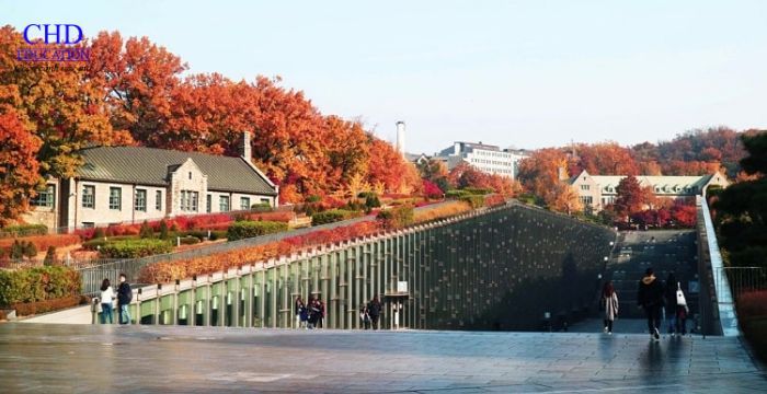 Đại học nữ Ewha – Trường đại học nữ lâu đời và danh giá nhất tại Hàn Quốc năm 2026 4 VKE hỗ trợ xin học bổng tại Đại học nữ Ewha