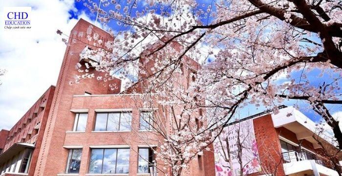 Đại học nữ Duksung – Điểm đến an toàn, thân thiện cho nữ sinh quốc tế năm 2025 3 Thông tin chung về Duksung