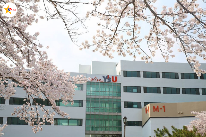 Đại học Youngsan – Đại học tư thục tại Busan 2 Khuôn viênĐại học Youngsan