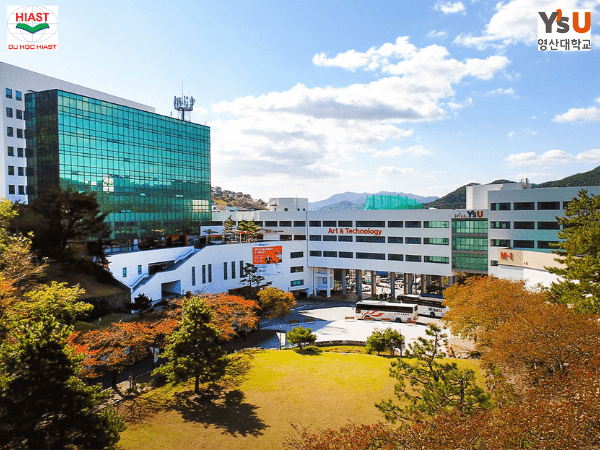 Đại học Youngsan – Đại học tư thục tại Busan 1 dai hoc youngsan