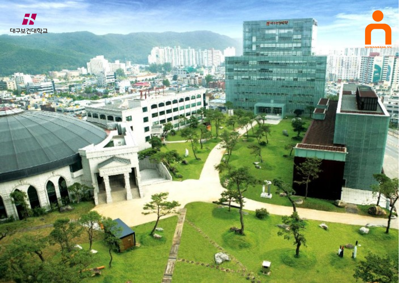 Cao đẳng Y tế Daegu – Lộ trình du học ngành y tại Hàn Quốc 3 Chương trình tiếng Hàn tại VKE giúp du học sinh tự tin hơn