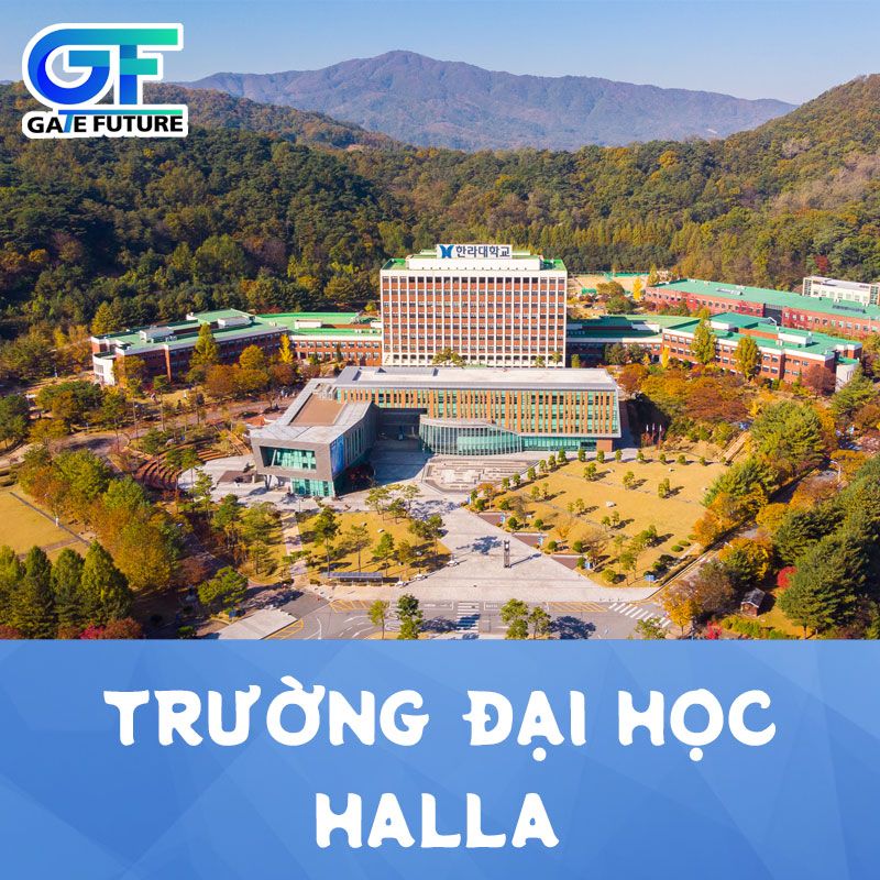 Đại học Halla – Điều kiện, học phí và lộ trình du học 2026 cùng VKE 2 Hình ảnh trường Đại học Halla