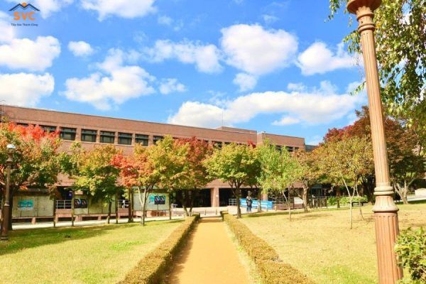 Đại học nữ Duksung – Điểm đến an toàn, thân thiện cho nữ sinh quốc tế năm 2025 6 Khuôn viên Đại học nữ Duksung