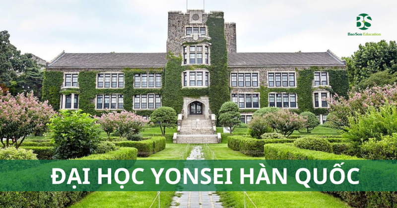 Đại học Yonsei – Đại học top SKY Hàn Quốc 2 Hình ảnh Đại học Yonsei