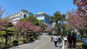 z6810273945174 8a5ed23bd15f8f2d9c1c32dbcb5a1c61