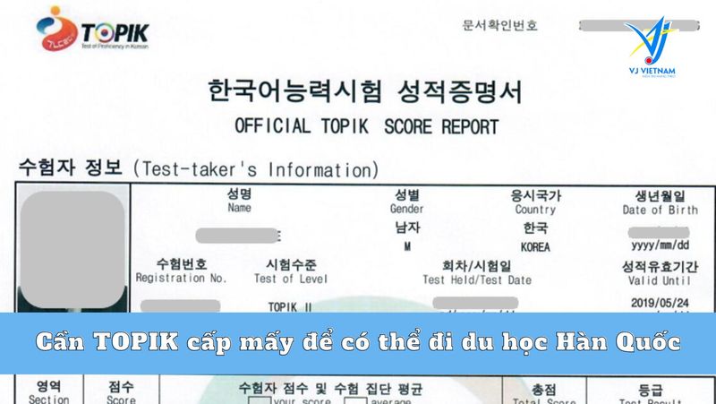 TOPIK có bắt buộc khi du học không | TOPIK du học 3 can-topik-cap-may-de-co-the-di-du-hoc-han-quoc