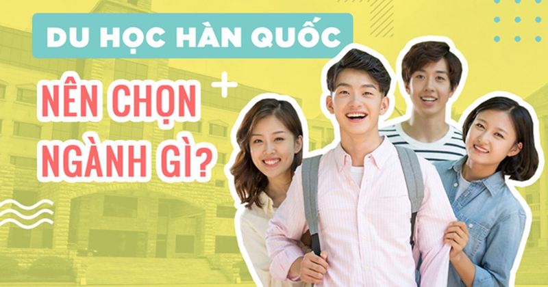 Du học Hàn Quốc nên học ngành gì dễ xin việc, lương cao? Ngành dễ xin việc năm 2026 4 du hoc han quoc nen chon nganh gi 1