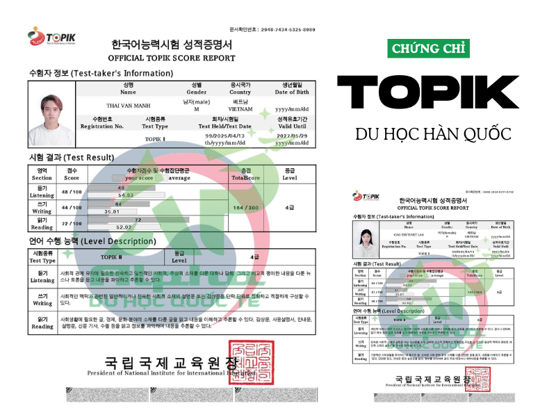 TOPIK có bắt buộc khi du học không | TOPIK du học 2 Topik du học là điều nên có để hồ sơ đẹp hơn